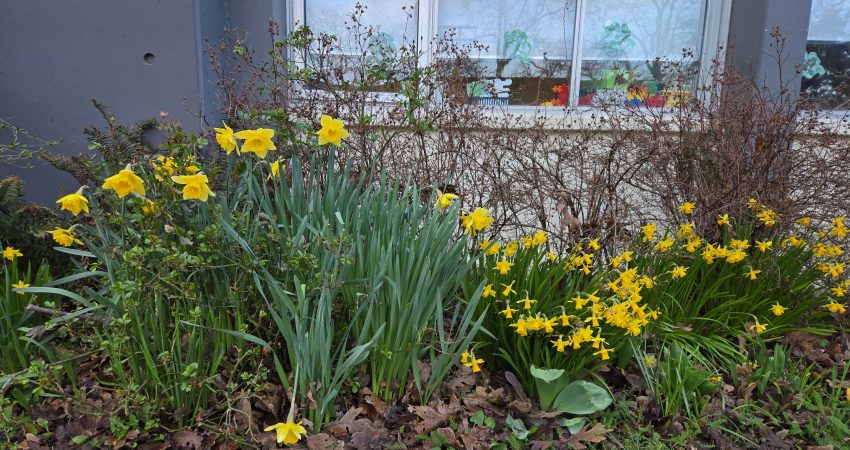 Spring is Coming to Cloverdale!